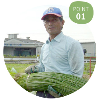 国産いぐさ100％×生産者直接取引