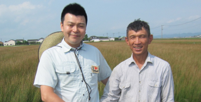 熊本のいぐさ農家さん