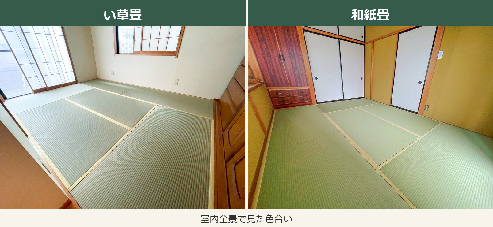 い草畳と和紙畳の室内全景で見た色合いの比較