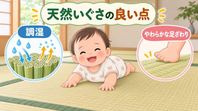 天然いぐさの良い点