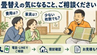 数量限定！厳選！熊本県産畳表の畳替え9,900円から