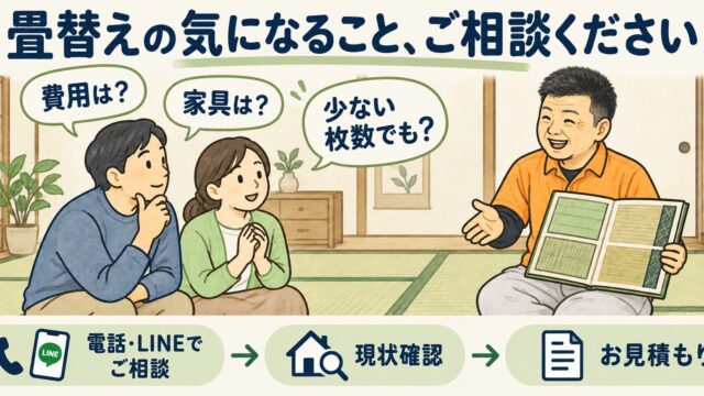 数量限定！厳選！熊本県産畳表の畳替え9,900円から