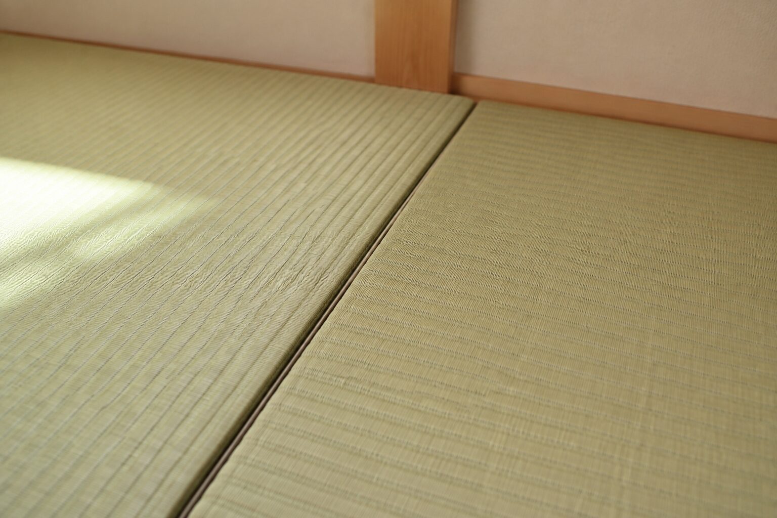 畳どうしの間にできた隙間を近くから確認した様子