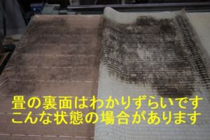 裏面はこんな状態の場合もあります